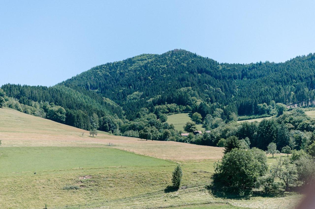 Rustikale 3 Zi.-Fewo Naehe Freiburg 70Qm 西蒙斯瓦尔德 外观 照片